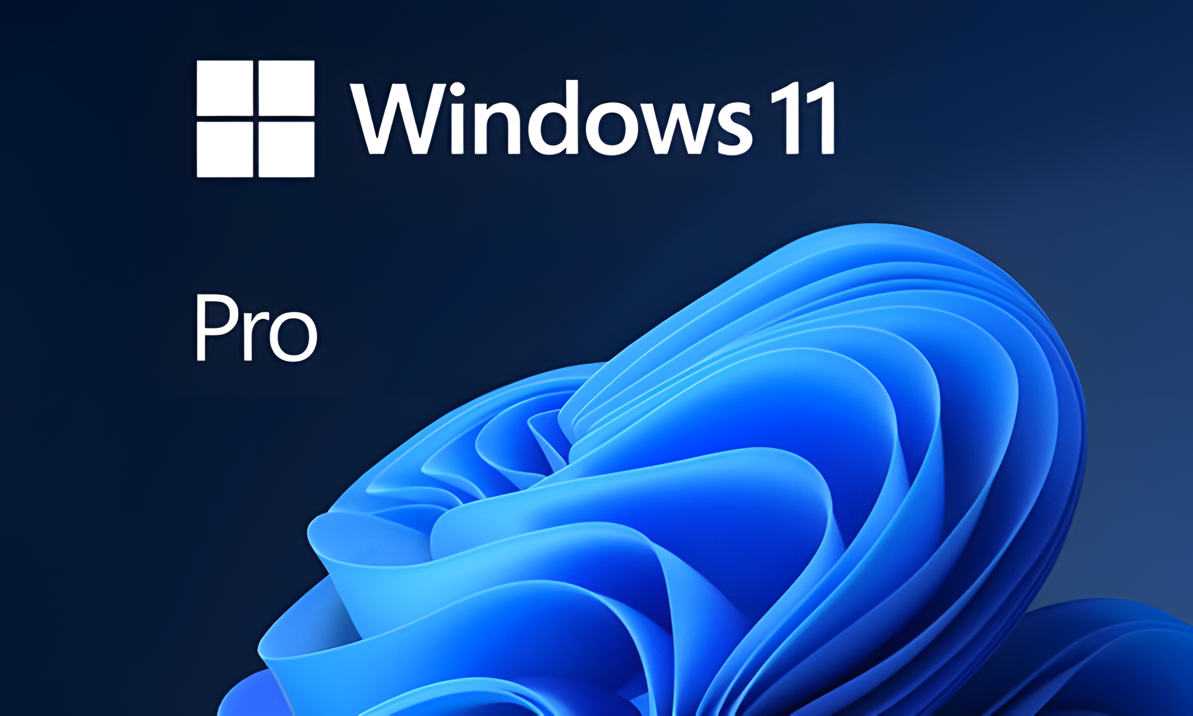 Windows 11 Pro